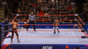 aew_20241030_kamille_v_statlander1