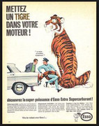 Tigre.jpg