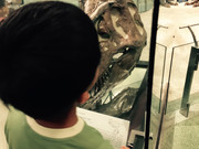 b633c246ed062f10cd6323979def740b