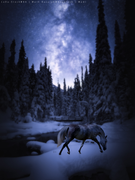 F3DE8810-0FF4-4073-85F1-644B43DCF010