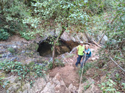 PRINCIPAL-06102026