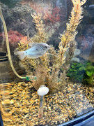 viber_изображение_2023-11-02_20-32-20-975