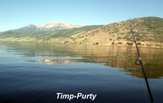 [Image: TIMP-PURTY.jpg]