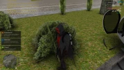 image-(13)