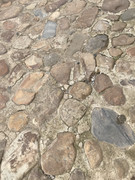 IMG-8474