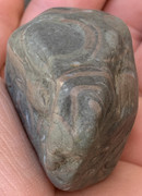 Caliza con fósiles de conchas IMG-6517