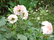 photo 16 2025 12 27 21 29 38