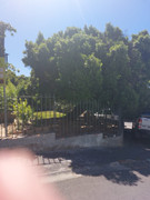 IMG-20250122-WA0273
