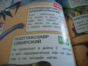 https://i.postimg.cc/cr1DZsQC/100-8095.jpg