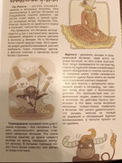 photo_2024-05-12_18-26-34