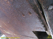 IMG-3726