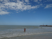 DSC01437