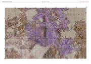 2889863-crosti-ru-color-8