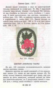 Volshebnii-Cruchok-102