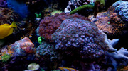 20220905-110635.jpg