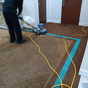 emergency carpet cleaning contractor