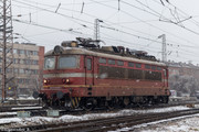 IMG-4105