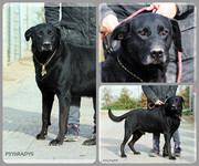 Be-Funky-collage-23.jpg&key=0c75679a2b1f