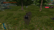 UKRAINE-GTA-02-07-2026-19-12-12