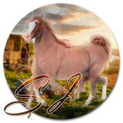 Roan-Pony-ICON