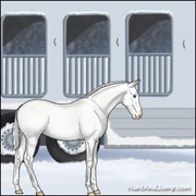 BBST trailer side snow