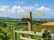 At the top of Hobbacott Down.