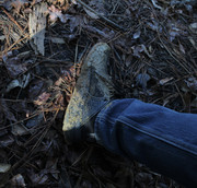 2FD6DBEC-6FAC-449D-9C8E-0ACC51AC6161