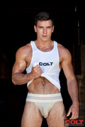 paddy-obrian-colt-04