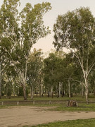 2022 (Jun) - Central (Nth) Qld Solo Trip(web) (130)