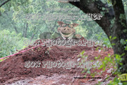 IMG-6199