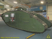 IMG-6825