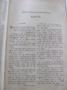 IMG-4567