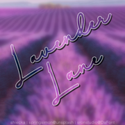 Lavender - Avi