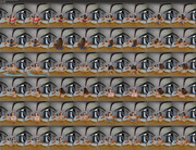 [Image: 08112024200421screenshot.jpg]