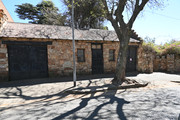 DSC-6878