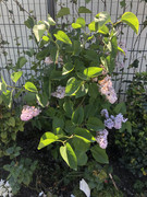 0747EC81-8299-4855-99CF-0AE1E6293656