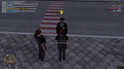UKRAINE-GTA-11-11-2025-20-25-37-(1)