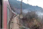 IMG-1519