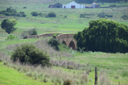 DSC-0036
