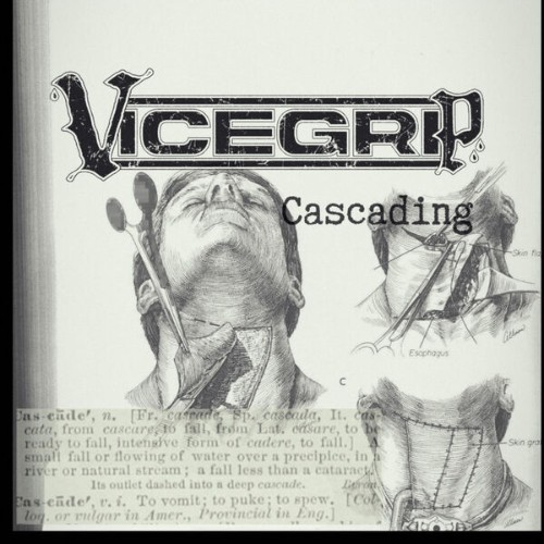 Vicegrip 617 - Cascading (2026)