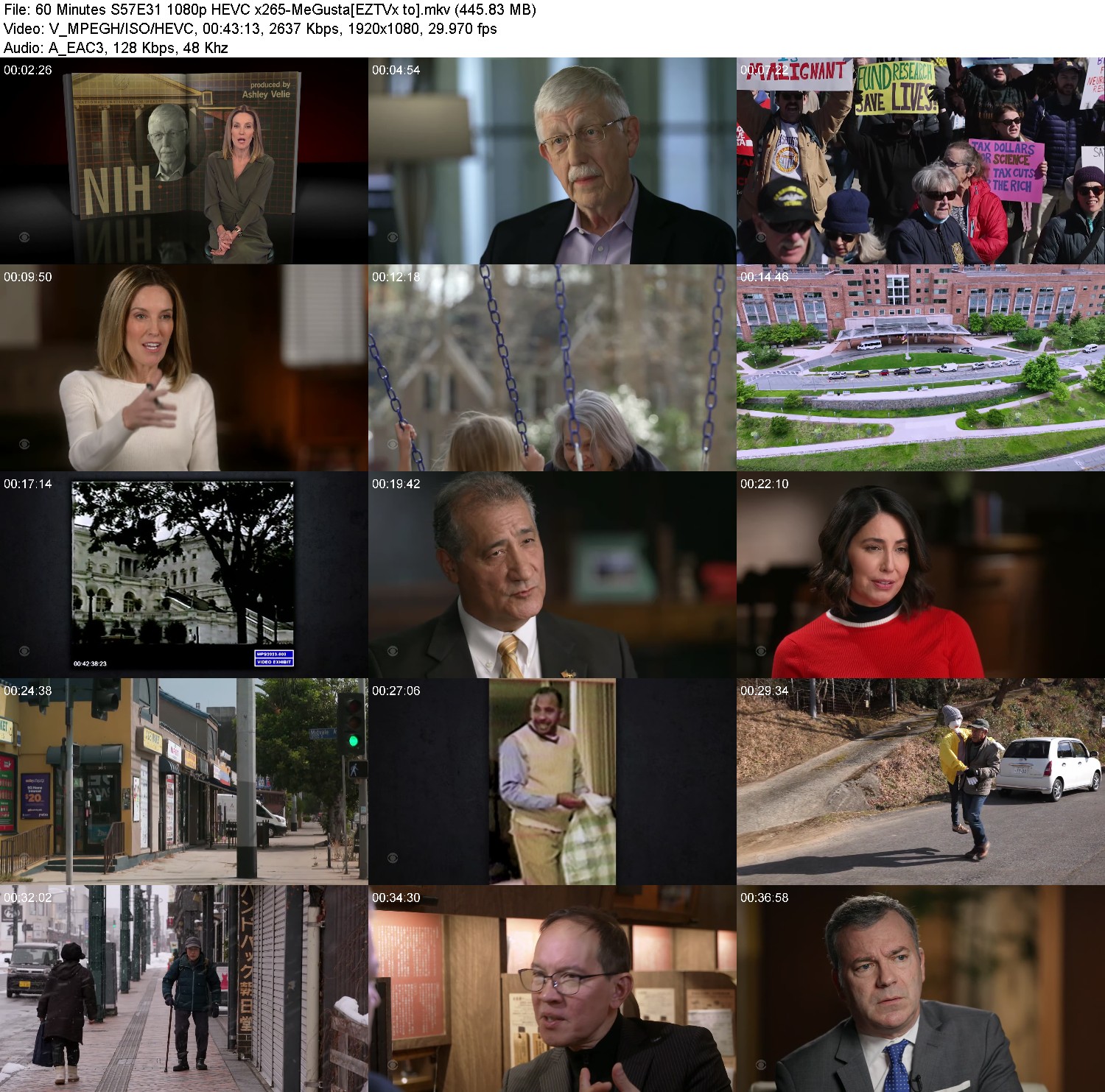 [Image: fo2ls0vqv4e0.jpg]