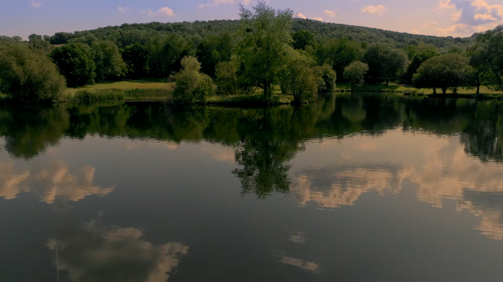 [Image: ara45s9jpe5k.png]