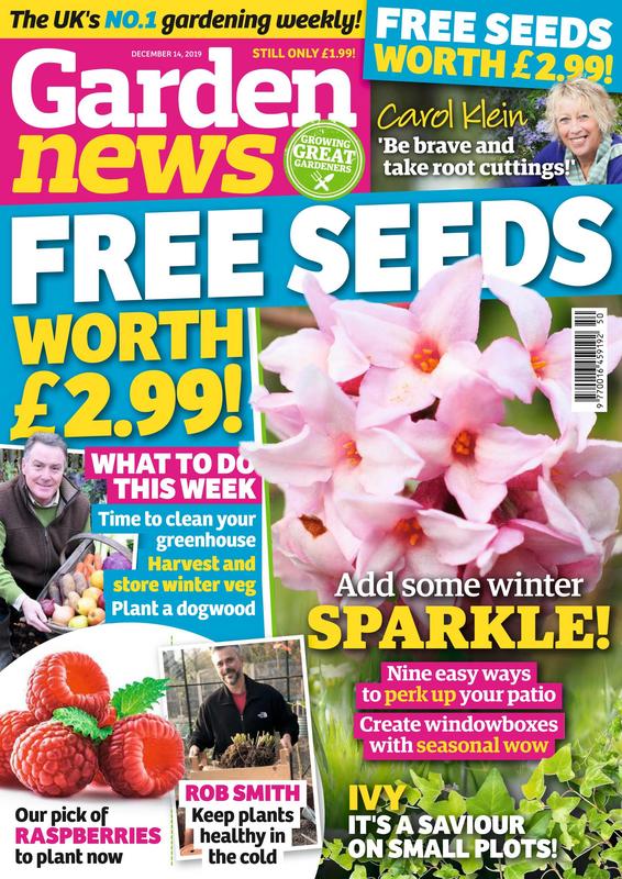 Garden-News-14-December-2019.jpg