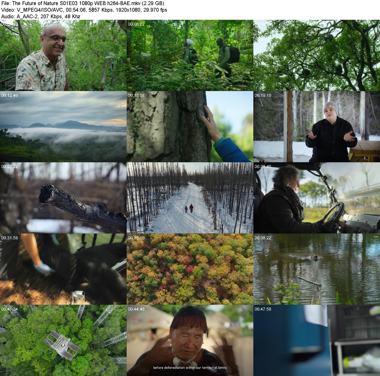 [Image: 4c4jqt1ji1lu.jpg]