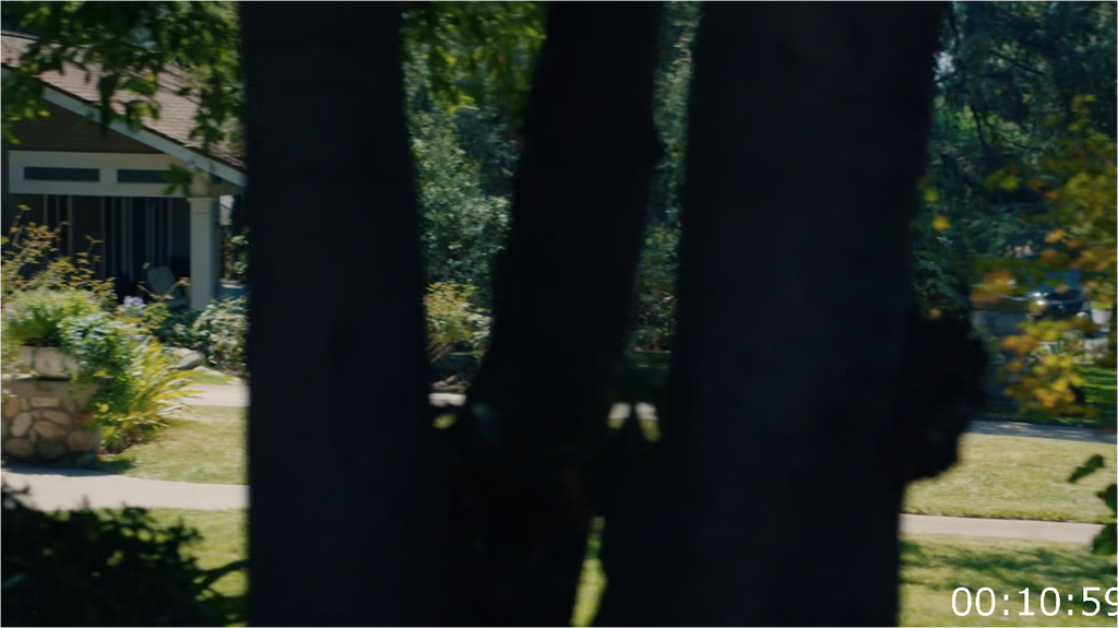 j0z77wbhd3bt.png