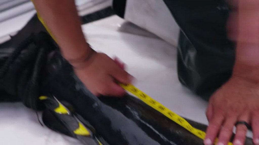 [Image: yn7a6a3r0fsf.jpg]