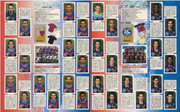 Album-Calciatori-2002-03-Panini-46