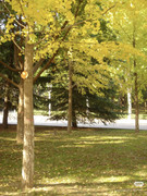 photo 1 2025 12 24 16 27 05