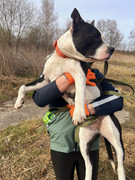 IMG_20230415_233148_727