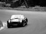 1966 International Championship for Makes - Page 3 66nur53-Cobra-TSettember-EFreutel